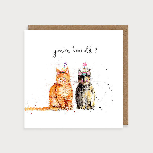 HB - Cats You're How Old? | B Inspired